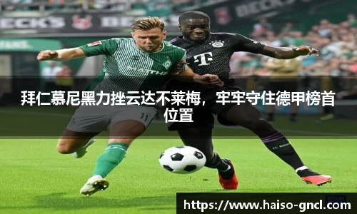 金年会APP