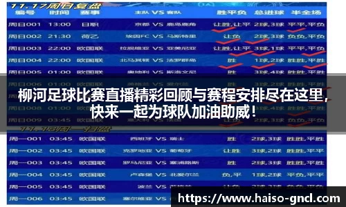 金年会下载
