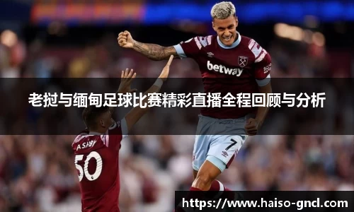 金年会下载