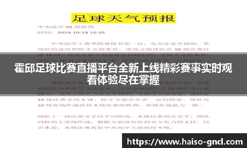 金年会官网