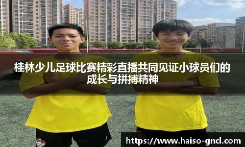 金年会下载