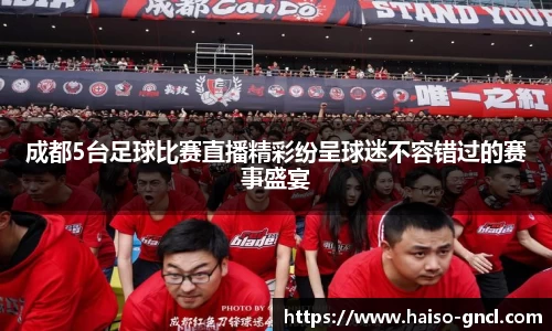 金年会下载