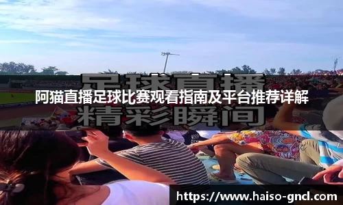 金年会下载