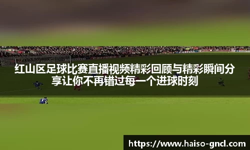 金年会下载