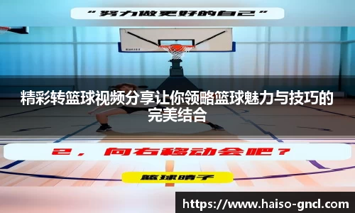 金年会官网